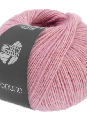 Lana Grossa Ecopuno Garn 208 Nellike