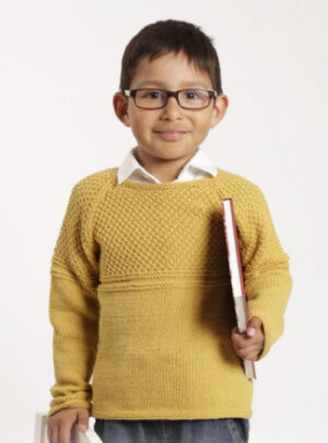 Clever Clark by DROPS Design - Bluse Strikkeopskrift str. 12/18 mdr - 9/10 år