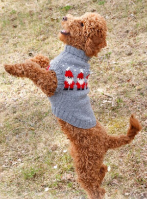 Merry Santas by DROPS Design - Hundebluse Strikkeopskrift str. XS - M