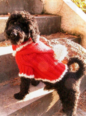 Santa Dog by DROPS Design - Hundebluse Strikkeopskrift str. XS - M
